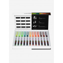Karin Nature Colors Collection 12 colors Pigment Decobrush